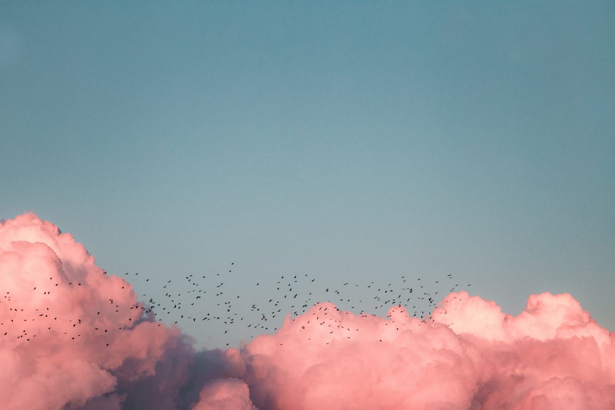 Pink clouds against an azure blue sky.